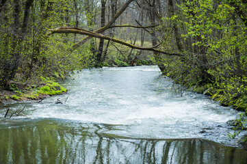 River lafnitz in spring, Styria Austria - 762025413