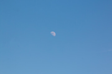 moon in the sky