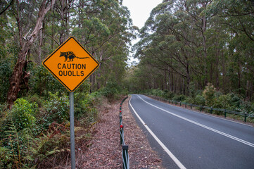 Quoll Warning sigm at a highway in Northern New South Wales, Australia