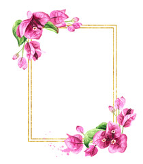 Bougainvillea decorative frame, Hand drawn watercolor illustration, isolated on white background 