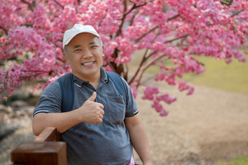 Asian middle-aged man in white cap and has backpack standing and thumping up in front of sakura...