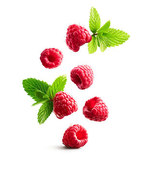 Falling raspberry and mint on white backgrounds. Illustration