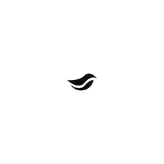 Bird concept Vector Logo Design.eps