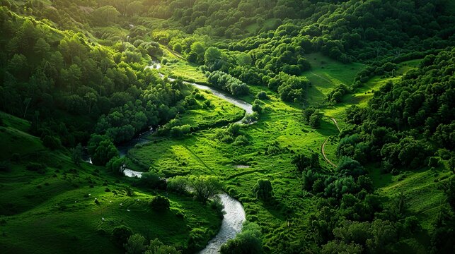 A winding river cutting through a lush green valley
