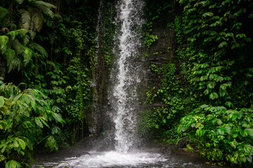 Serene Waterfall Amidst Lush Greenery in Lombok, Indonesia. A tranquil retreat in the heart of...