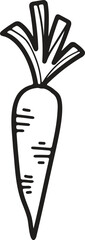 Hand Drawn carrot in flat style