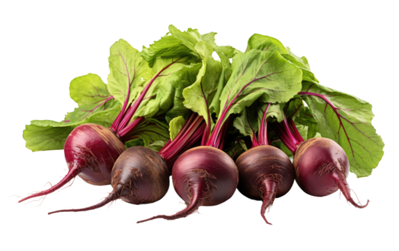 A Group of Beets Sitting Next to Each Other. On a White or Clear Surface PNG Transparent Background.