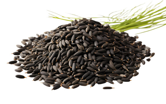 Pile of Sunflower Seeds With Green Stalk. On a White or Clear Surface PNG Transparent Background.