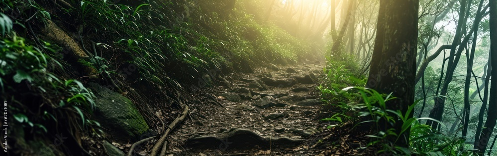 Poster panoramic view of a path in the rainforest. banner.