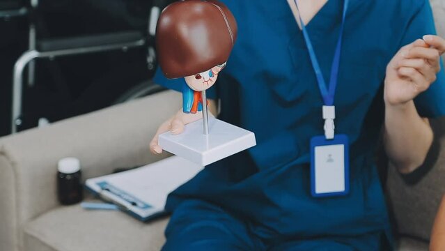 Doctor with human Pancreatitis anatomy model with Pancreas, Gallbladder, Bile Duct, Duodenum, Small intestine. Pancreatic cancer, Acute and Chronic pancreatitis, Digestive system and Health concept