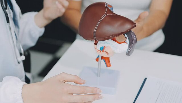 Doctor with human Pancreatitis anatomy model with Pancreas, Gallbladder, Bile Duct, Duodenum, Small intestine. Pancreatic cancer, Acute and Chronic pancreatitis, Digestive system and Health concept