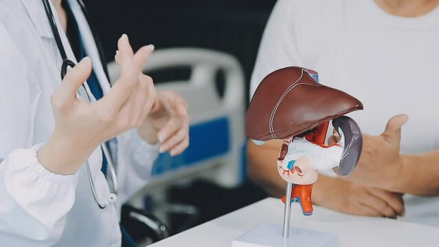 Doctor with human Pancreatitis anatomy model with Pancreas, Gallbladder, Bile Duct, Duodenum, Small intestine. Pancreatic cancer, Acute and Chronic pancreatitis, Digestive system and Health concept