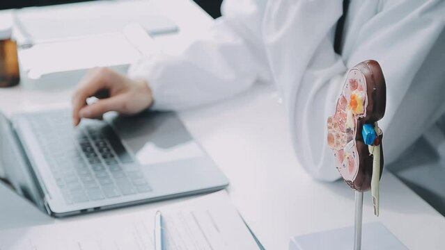 Doctor with human Pancreatitis anatomy model with Pancreas, Gallbladder, Bile Duct, Duodenum, Small intestine. Pancreatic cancer, Acute and Chronic pancreatitis, Digestive system and Health concept