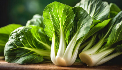Close up Photo of Fresh Organic Bok choy Vegetable in the Farm