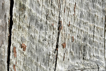 Fond de planches en vieux bois gris clair