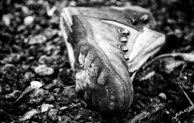 Old work boot