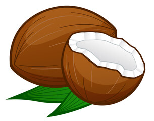coconut cartoon on white background