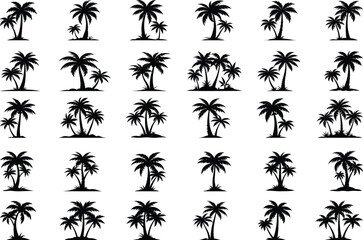Set of tropical palm trees with leaves, mature and young plants, black silhouettes isolated on white background
