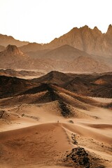 Fototapeta na wymiar sand dunes in park state