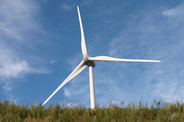 The wind turbine on the hill