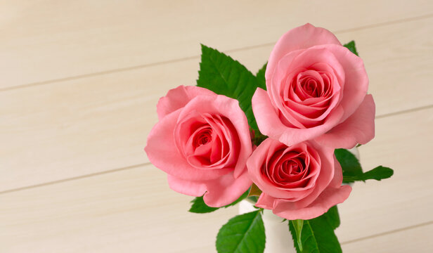 pink roses on a white table.  白いテーブルの上に置かれたピンク色のバラ