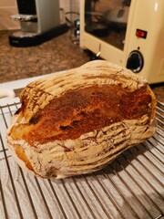 Sour dough bread in the kitchen