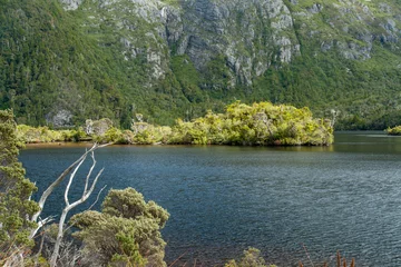 Foto auf Acrylglas Cradle Mountain Bushwalking around Dove Lake near Cradle Mountain, Tasmania, Australia