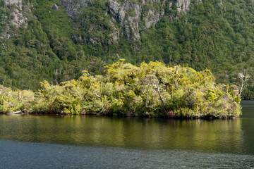 Bushwalking around Dove Lake near Cradle Mountain, Tasmania, Australia
