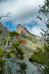 Papier Peint photo autocollant Mont Cradle Bushwalking around Dove Lake near Cradle Mountain, Tasmania, Australia
