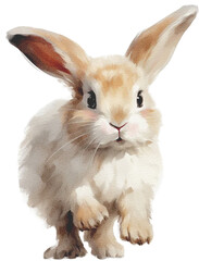 Realistic Watercolor Baby Rabbit Animal. Fluffy Forest Friends. Woodland Nursery.