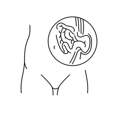 Umbilical hernia line icon. Vector isolated element.