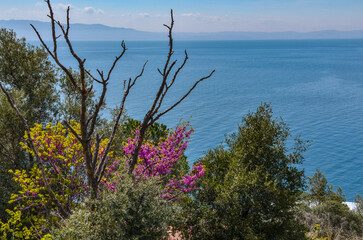 scenic view of Marmara sea from Armutlu - Gemlik highway (Yalova province, Turkey)a