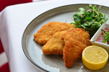 traditional Czech food, fried pork steak, close-up view, served on a plate