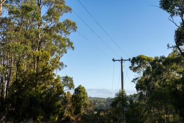 Powerlines in the bush in Australia. Power poles a fire hazard in the forest