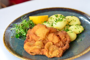 traditional Czech food, fried pork steak, close-up view, served on a plate