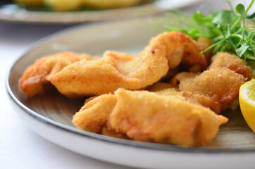 traditional Czech food, fried pork steak, close-up view, served on a plate