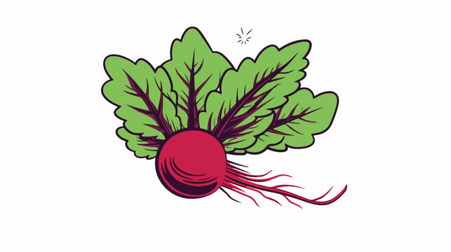 Outline illustration vector image of a beet root