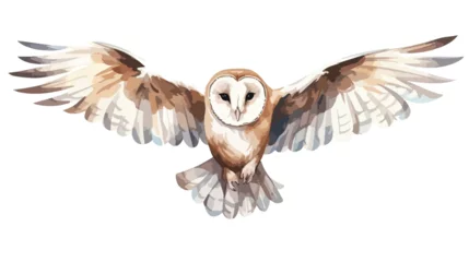 Poster Owl flying. Barn owl on white background. Watercolor © Noman