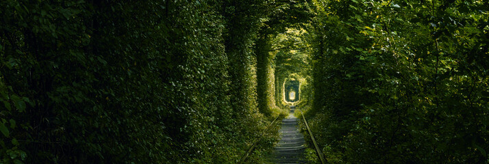 Green tunnel of trees growing above the railway. Light at the end of a tunnel made of tree branches.