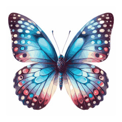 butterfly watercolor isolated on white background