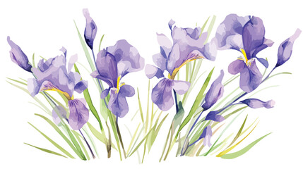 Wildflower iris flower leaf in a watercolor style 