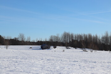 winter landscape with snow