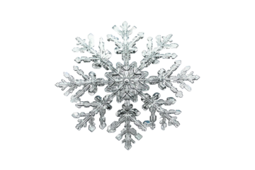 silver snowflake isolated