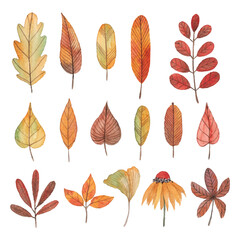 Yellow, brown and orange watercolor autumn illustrations. Cute leaves, branches, flowers and plants design elements. Hand painted watercolor colorful autumn leaves.