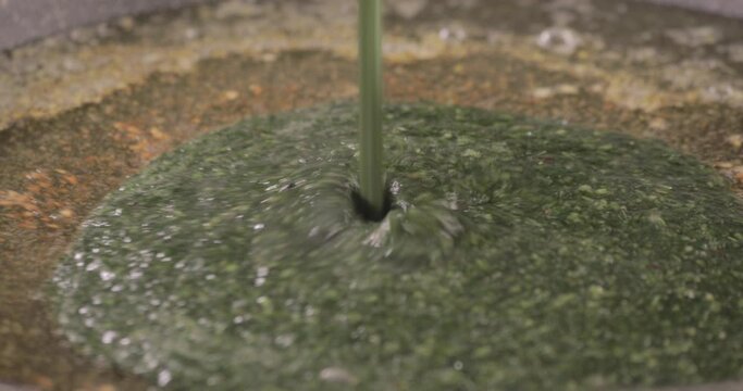 Egyptian Molokhya dropped on fried Garlic (TASHA)  freshly made and shot on 4K. Molokhya is a Famous Egyptian Food  in the Egyptian Cuisine and well known to be the most delicious one