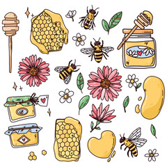 big vector set of honey and bees