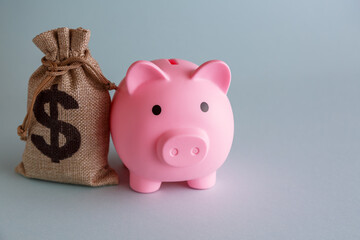 A piggy bank in the form of a pink pig and a bag with a dollar sign.