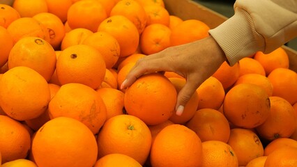 Woman reaches for oranges on shelf, selecting the ripest. Witness the beauty of oranges as they're...