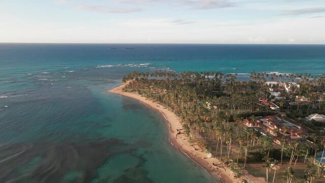 Aeria view amazing coast with clearwater and incedible palm trees 