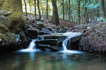 long exposure photo of small stream in forest